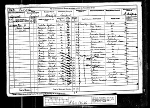 1881 England Census 1881 England Census
